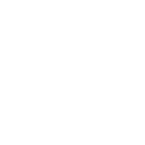 Steam